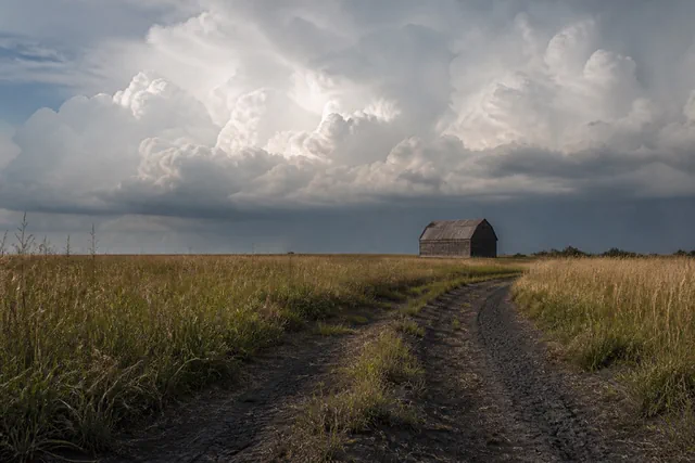 Open coastal prairie with tall bluestem grass under a towering afternoon thunderhead